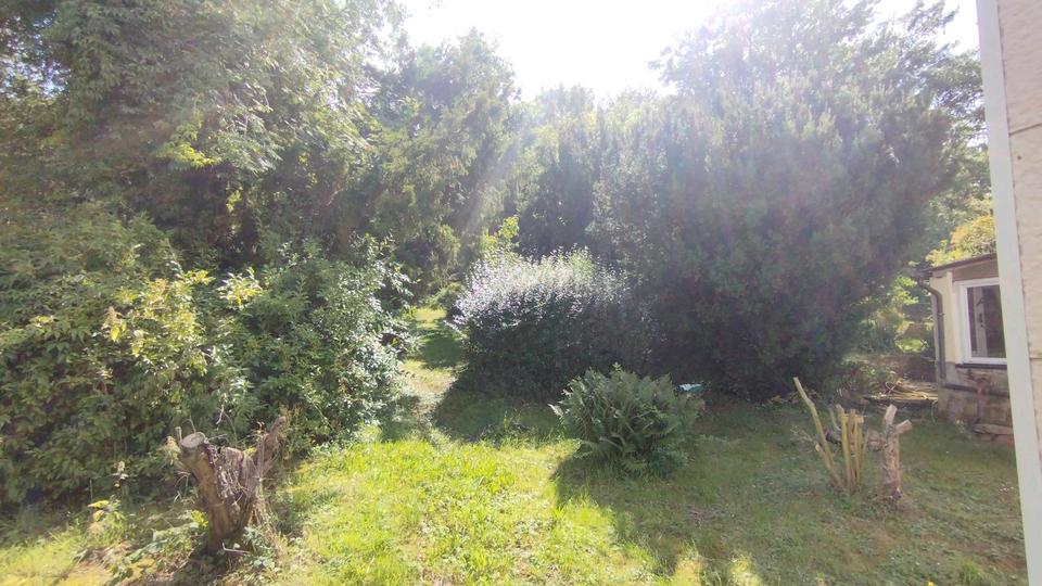 Einfamilienhaus Lanitz-Hassel-Tal Tal - 4 Zimmer, 90 m&sup2;, 169.000&euro; | Angebot:25343728