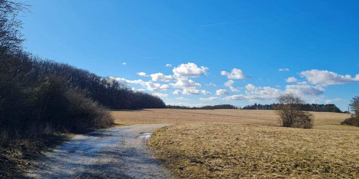 Grundstück Ziegenhain Ziegenhain - 6.400&euro; | Angebot:25772033