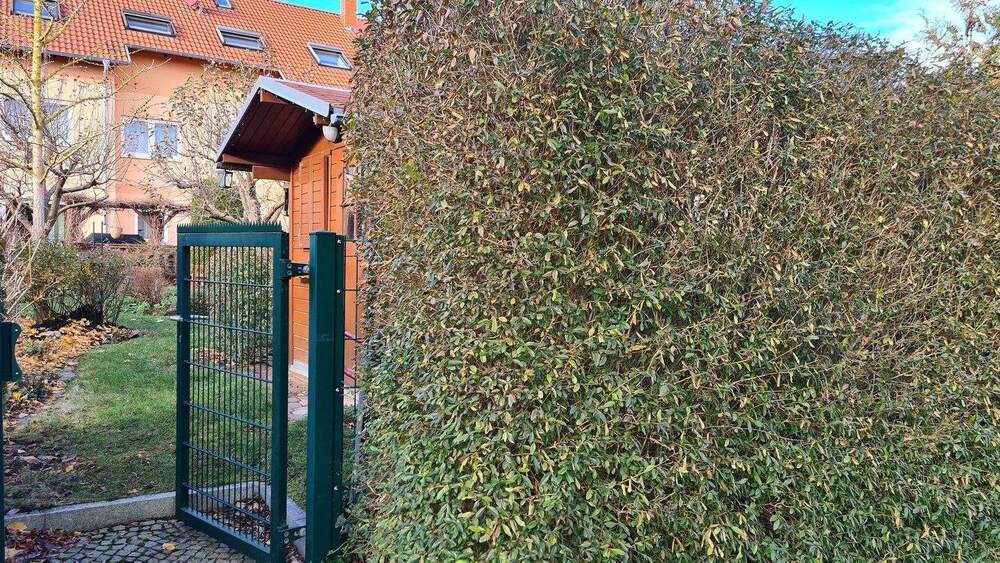 Reihenmittelhaus Weimar Südstadt - 5 Zimmer, 135 m&sup2;, 490.000&euro; | Angebot:25687198