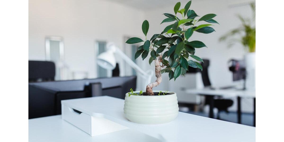 Gewerbeobjekt Jena - 82&euro; | Angebot:9981673