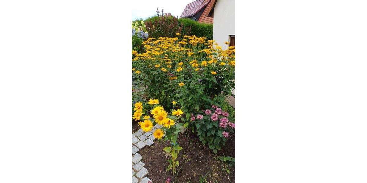 Einfamilienhaus Weimar Ehringsdorf - 5 Zimmer, 128 m&sup2;, 345.000&euro; | Angebot:25938067