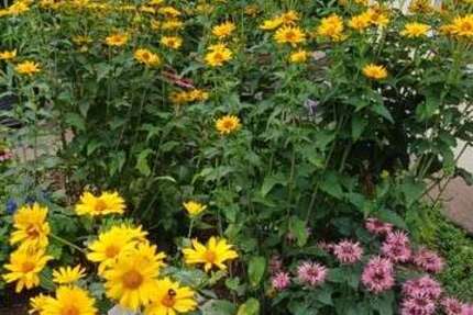 Haus Weimar Ehringsdorf - 5 Zimmer, 128 m&sup2;, 345.000&euro; | Angebot:25938067