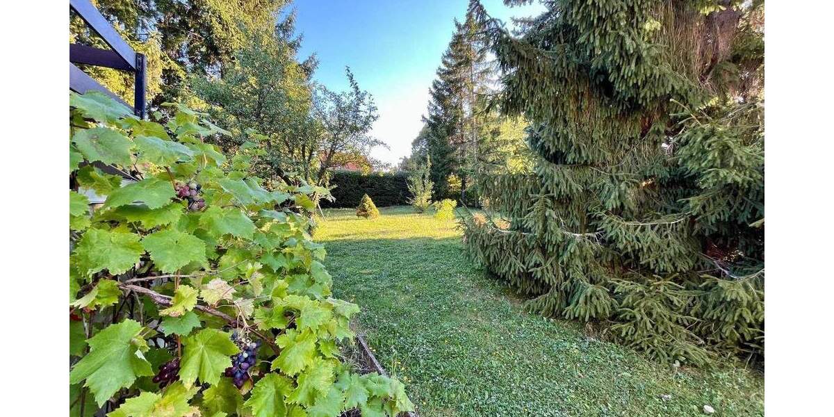 Bungalow Erfurt Brühlervorstadt - 2 Zimmer, 85 m&sup2;, 390.000&euro; | Angebot:25815879