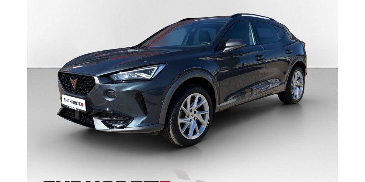 Cupra Formentor 50.380 km 29.990 &euro; Weimar 99427