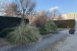 Mehrfamilienhaus, Wohnhaus Erfurt Herrenberg - 8 Zimmer, 160 m&sup2;, 369.000&euro; | Angebot:26684443