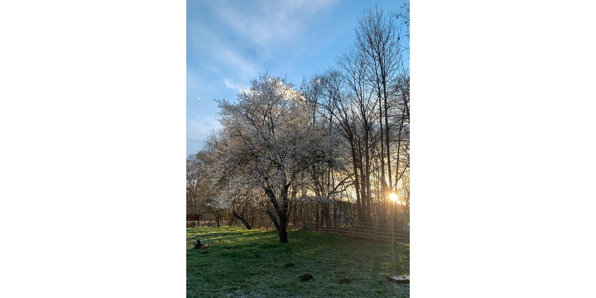 Einfamilienhaus Stadtilm - 300.000&euro; | Angebot:25333331