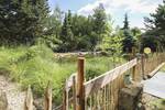 Einfamilienhaus Sömmerda Frohndorf - 6 Zimmer, 530.000&euro; | Angebot:26418228