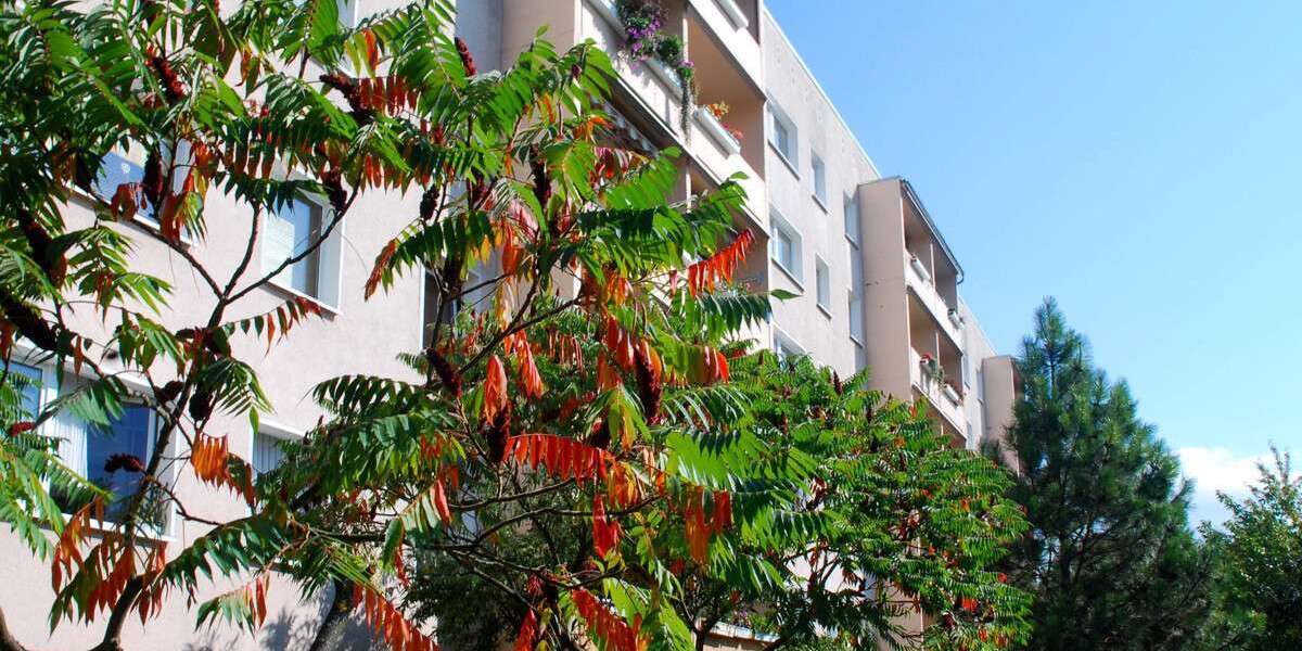 Etagenwohnung Jena / Lobeda Lobeda - 1.5 Zimmer, 32 m&sup2;, 92.000&euro; | Angebot:26176782