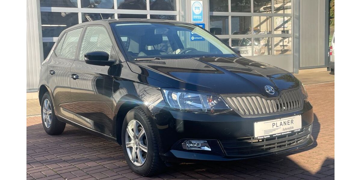 Skoda Fabia 64.236 km 9.490 &euro; Apolda 99510