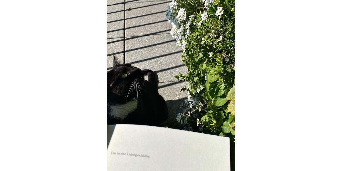 Etagenwohnung Erfurt - 4 Zimmer, 120 m&sup2;, 933&euro; | Angebot:25805244