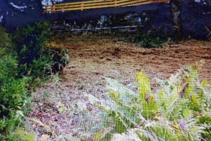 Haus Bucha - 55.000&euro; | Angebot:25383046