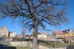 Bauernhaus, Landhaus Kahla - 2 Zimmer, 100 m&sup2;, 200.000&euro; | Angebot:26349171