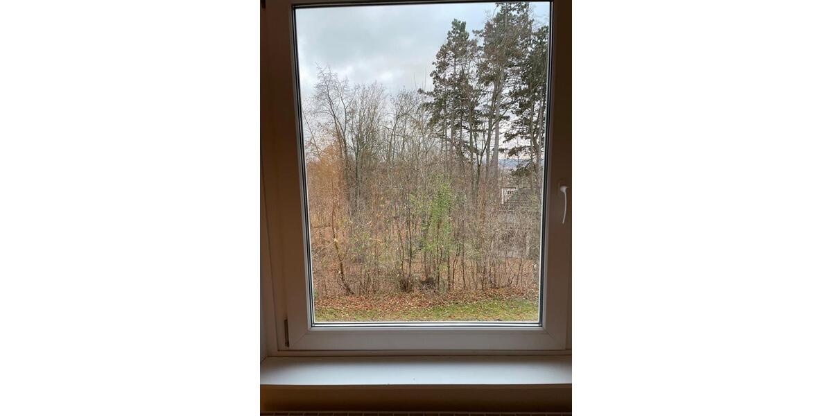 Etagenwohnung Apolda - 1 Zimmer, 80 m&sup2;, 595&euro; | Angebot:25886940