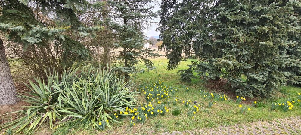 Einfamilienhaus in Alleinlage mit großem Grundstück - Einfamilienhaus Großeutersdorf | Angebot:26009999