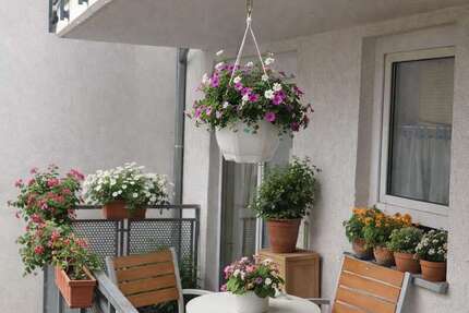 Wohnung Erfurt Johannesvorstadt - 3 Zimmer, 82 m&sup2;, 1.080&euro; | Angebot:26115947