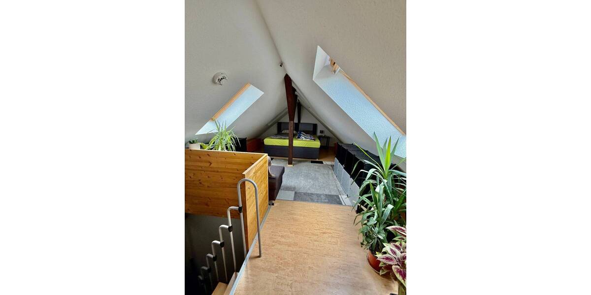 Etagenwohnung Erfurt Andreasvorstadt - 7 Zimmer, 470.000&euro; | Angebot:26569466