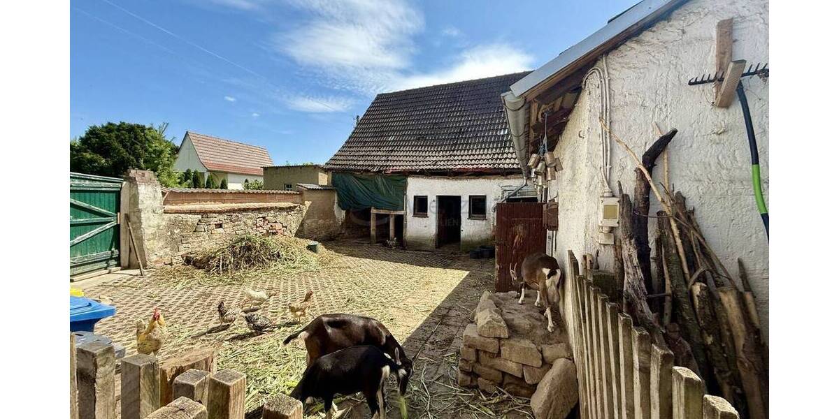 Bauernhaus, Landhaus Rastenberg Bachra - 4 Zimmer, 84 m&sup2;, 35.000&euro; | Angebot:25672275