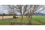Einfamilienhaus in idyllischer Lage mit großem Grundstück - Einfamilienhaus Großeutersdorf | Angebot:26338317