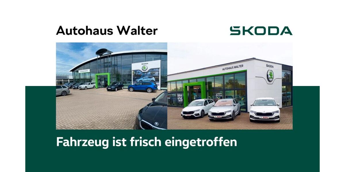 Skoda Octavia 23.950 km 28.990 &euro; Sömmerda 99610