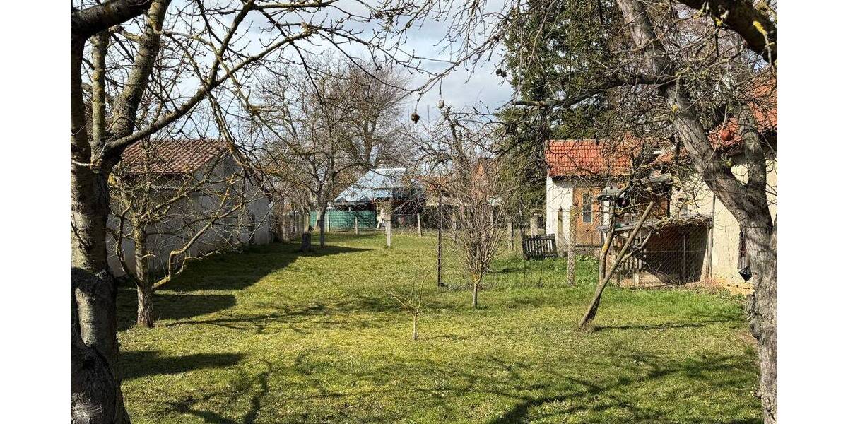 Mehrfamilienhaus, Wohnhaus Schloßvippach Dielsdorf - 1 Zimmer, 468 m&sup2;, 185.000&euro; | Angebot:25984383