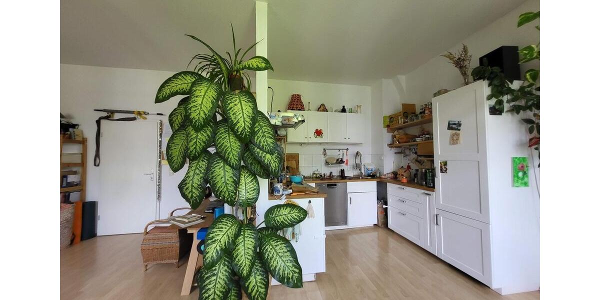 Etagenwohnung Erfurt Johannesvorstadt - 2 Zimmer, 62 m&sup2;, 700&euro; | Angebot:26498122
