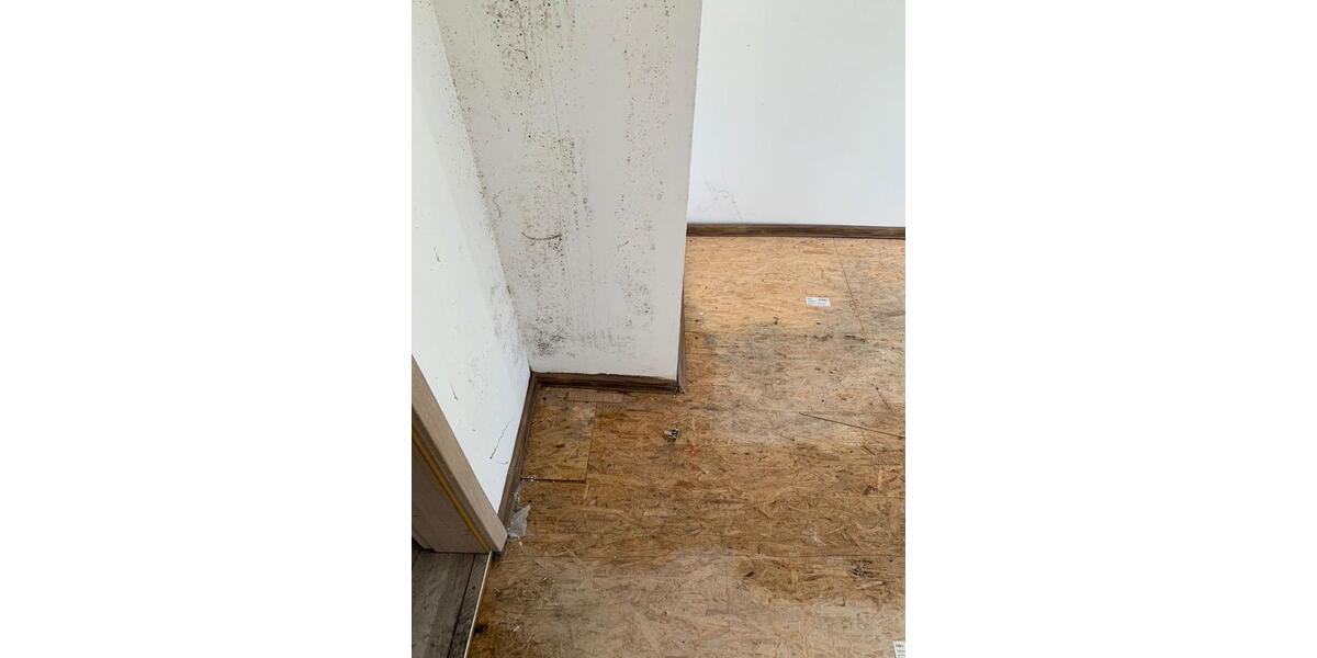 Mehrfamilienhaus, Wohnhaus Apolda - 10 Zimmer, 1.000 m&sup2;, 90.000&euro; | Angebot:22638169