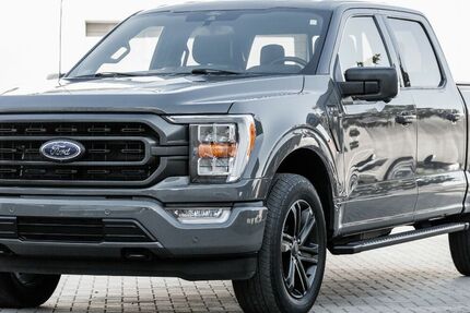 Ford F 150 38.900 km 49.990 &euro; Rudolstadt 07407