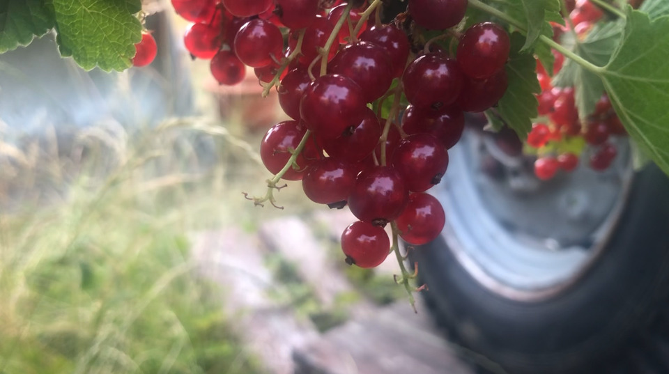 Einfamilienhaus Erfurt - 2 Zimmer, 35 m&sup2;, 89.000&euro; | Angebot:25612449