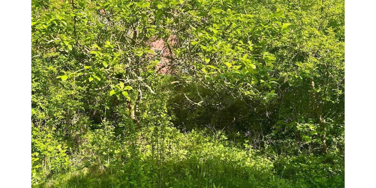 Doppelhaushälfte Weimar Parkvorstadt - 4 Zimmer, 90 m&sup2;, 195.000&euro; | Angebot:26015997