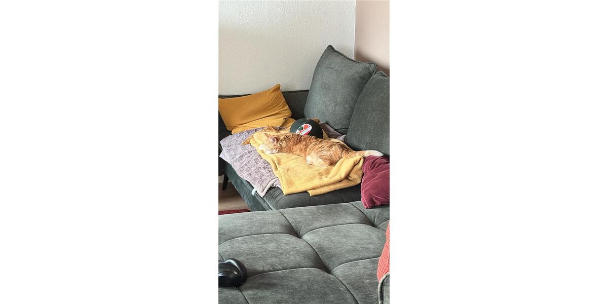 Etagenwohnung Sömmerda - 2 Zimmer, 62 m&sup2;, 655&euro; | Angebot:26033036