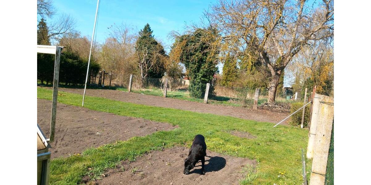 Einfamilienhaus Sömmerda - 36.925&euro; | Angebot:26134425