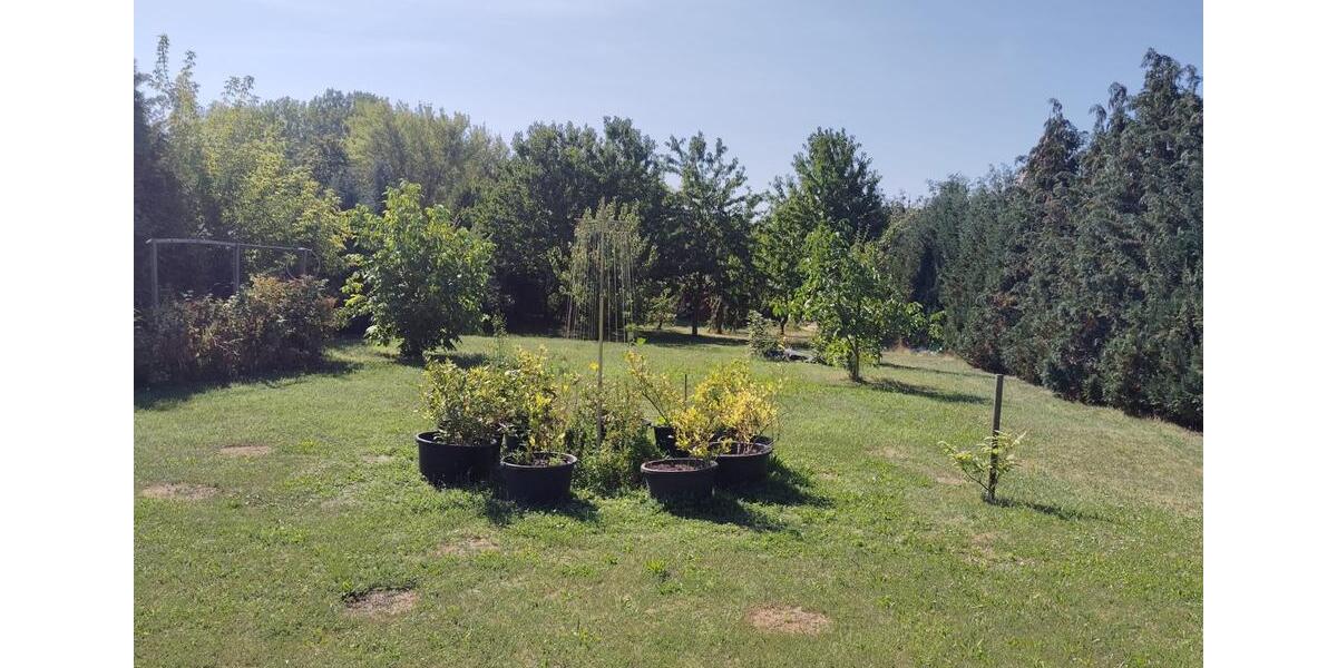 Einfamilienhaus Erfurt Linderbach - 6 Zimmer, 188 m&sup2;, 699.000&euro; | Angebot:22649294