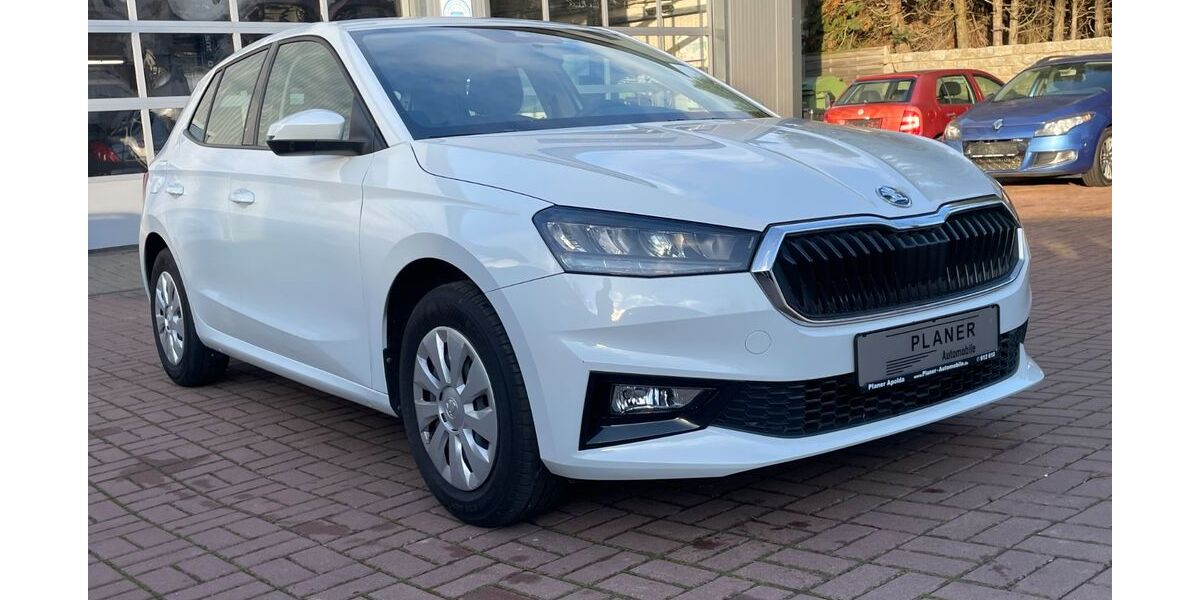 Skoda Fabia 29.402 km 13.990 &euro; Apolda 99510