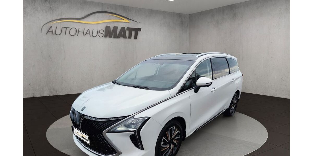 DFSK Forthing 4 16.000 km 28.300 &euro; Apolda 99510