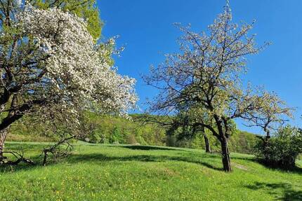 Grundstück Jena Jenaprießnitz - 544.000&euro; | Angebot:25671512