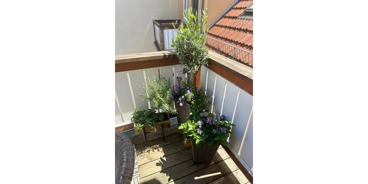 Etagenwohnung Sömmerda - 1 Zimmer, 55 m&sup2;, 650&euro; | Angebot:26534705