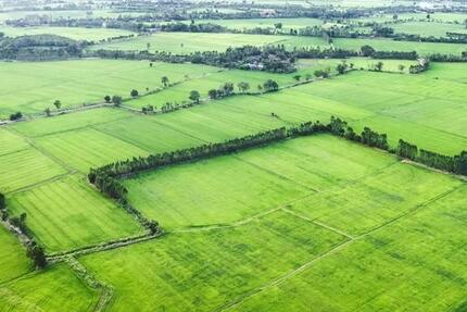 Gewerbeobjekt Bucha - 4.010&euro; | Angebot:25329010