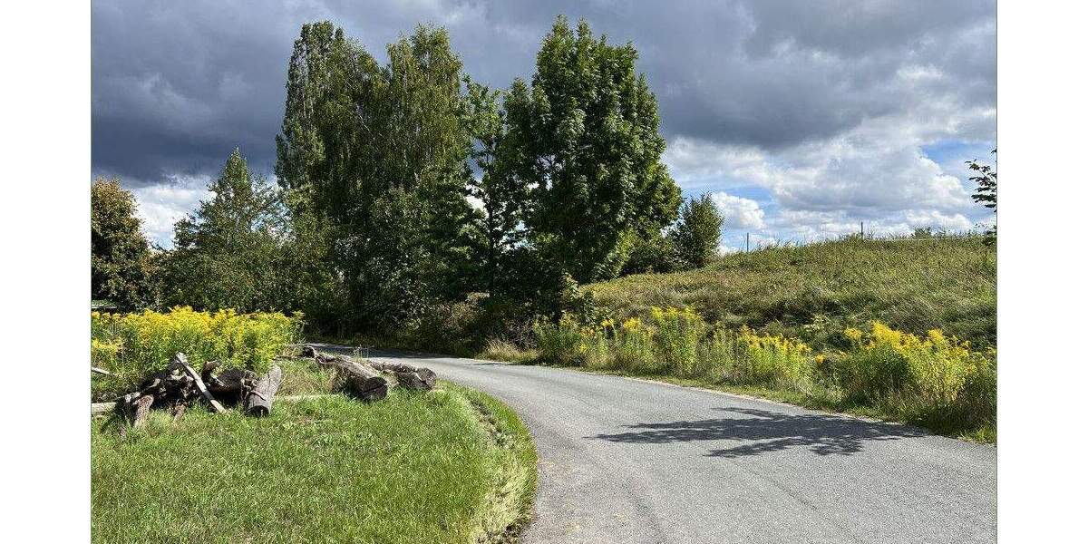 Bauernhaus, Landhaus Rudolstadt Nord - 4 Zimmer, 353 m&sup2;, 99.000&euro; | Angebot:25729292