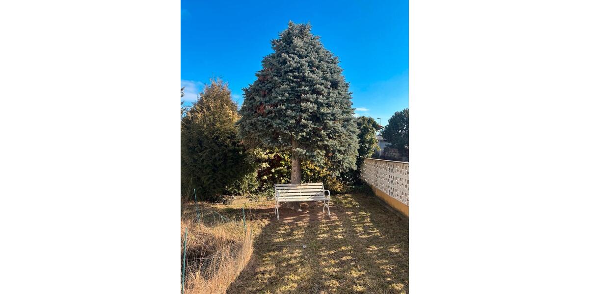 Einfamilienhaus Erfurt Stotternheim - 8 Zimmer, 160 m&sup2;, 490.000&euro; | Angebot:26464651