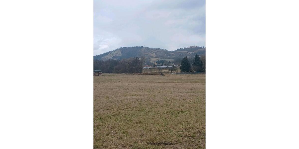 Einfamilienhaus Kahla - 4 Zimmer, 130 m&sup2;, 120.000&euro; | Angebot:25171652