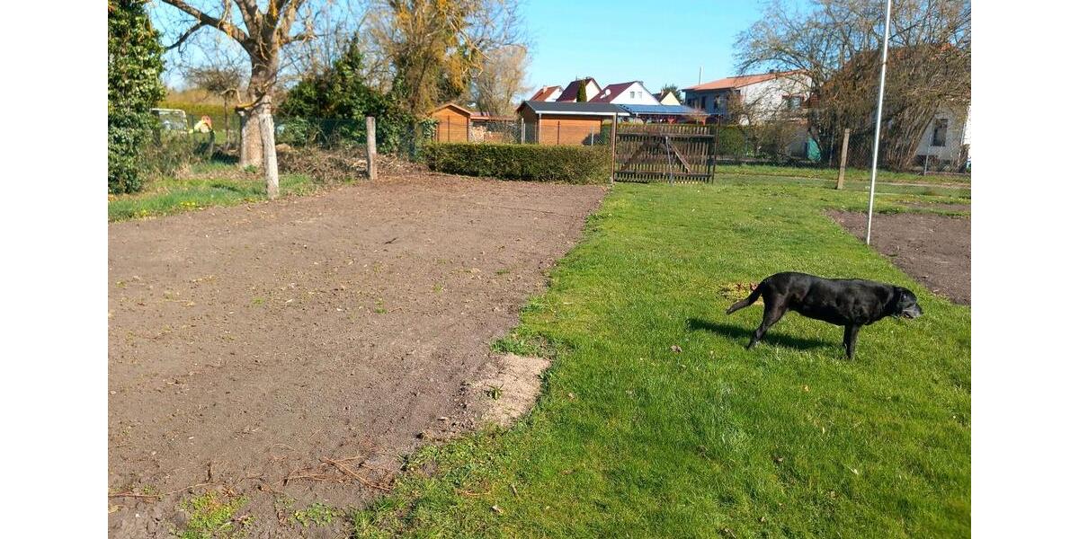 Einfamilienhaus Sömmerda - 36.925&euro; | Angebot:26134425