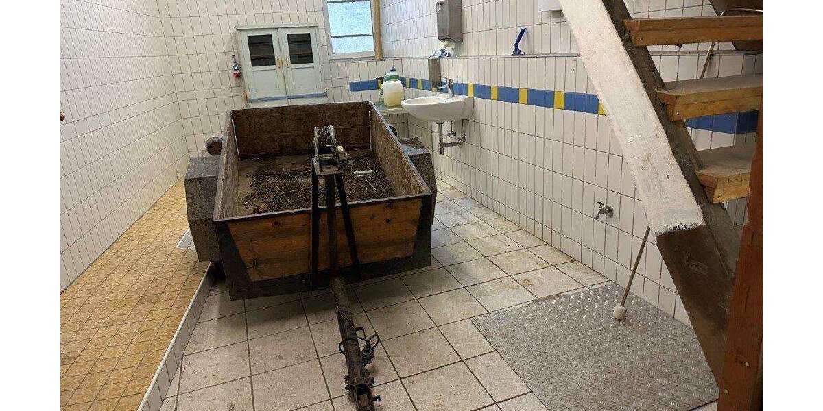 Scheune mit Doppelgarage und Schlachthaus in Niederkrossen - Garagen / Stellplätze Uhlstädt-Kirchhasel Kirchhasel | Angebot:19040127