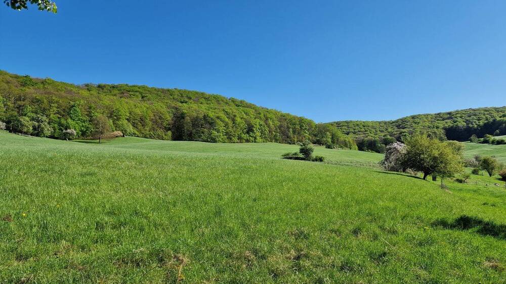 Grundstück Jena Jenaprießnitz - 544.000&euro; | Angebot:25671512