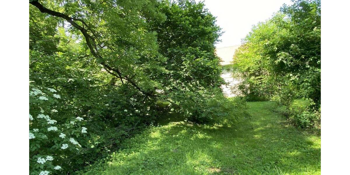 Einfamilienhaus Schmiedehausen - 4 Zimmer, 18 m&sup2;, 49.000&euro; | Angebot:25668328