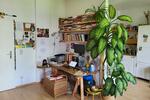 Etagenwohnung Erfurt Johannesvorstadt - 2 Zimmer, 62 m&sup2;, 700&euro; | Angebot:26498122