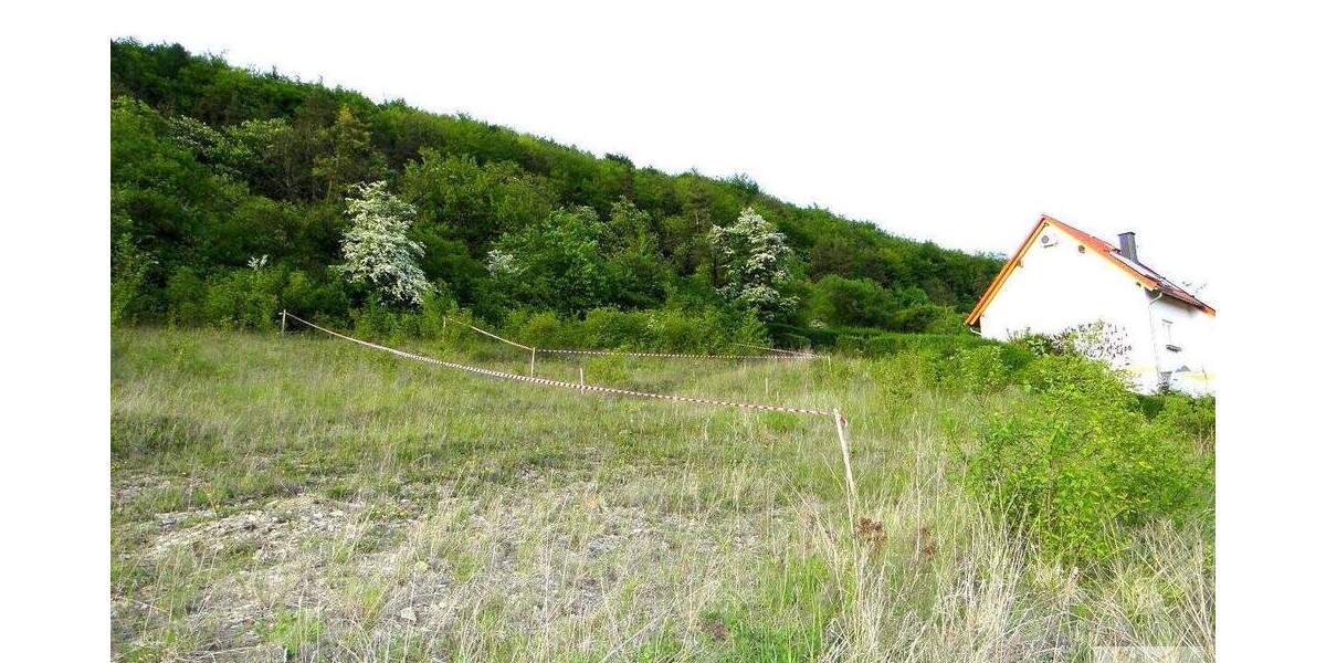 Grundstück Blankenhain Saalborn - 150.000&euro; | Angebot:25909243