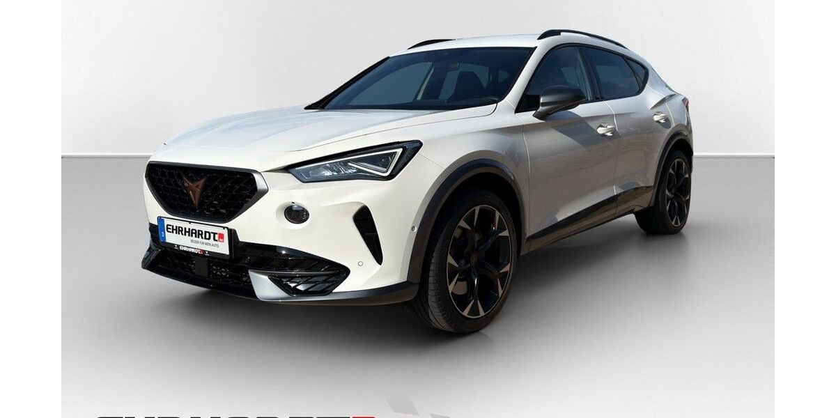 Cupra Formentor 42.090 km 28.890 &euro; Weimar 99427