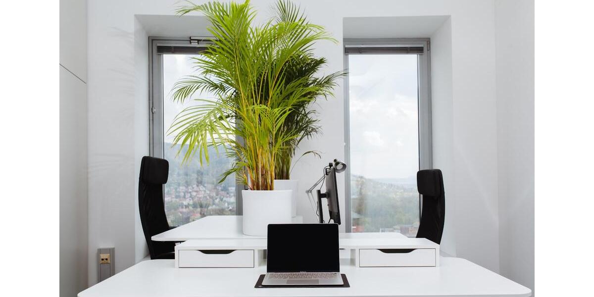 Gewerbeobjekt Jena - 82&euro; | Angebot:9981673