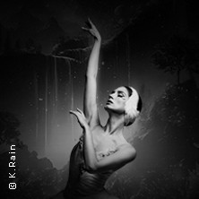 Grand Classic Ballet - Schwanensee - Jenseits der Bühne mit live Streichquartett 16.01.2027 Kaisersaal Erfurt
