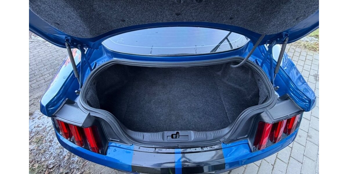 Ford Mustang 5,0 GT 89.000 km 29.990 &euro; Rudolstadt 07407